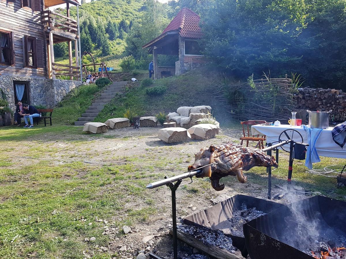 Cabana Soarelui Retezat Βίλα Nucsoara  Εξωτερικό φωτογραφία